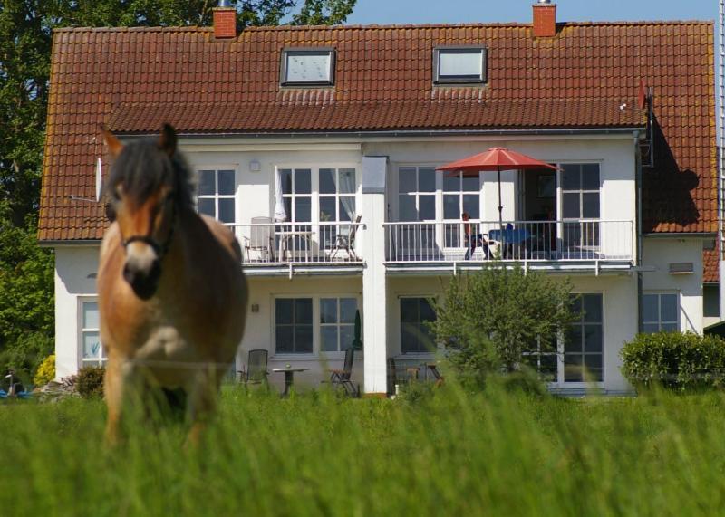 Ferienwohnung Boddenblick Zudar 外观 照片