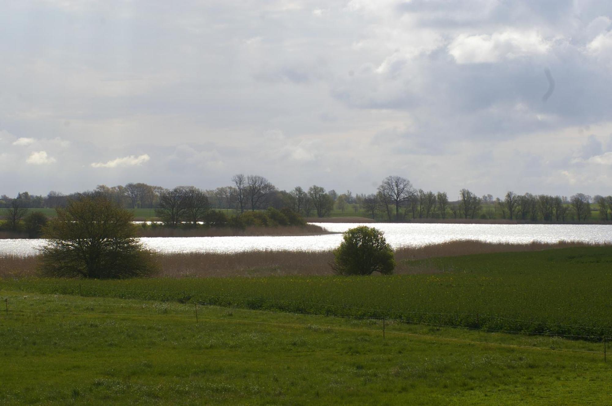Ferienwohnung Boddenblick Zudar 外观 照片